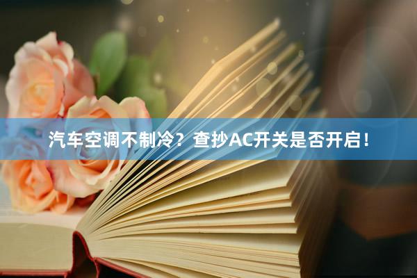 汽车空调不制冷？查抄AC开关是否开启！