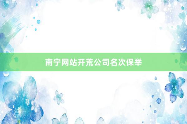 南宁网站开荒公司名次保举