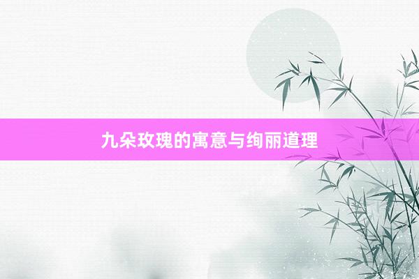 九朵玫瑰的寓意与绚丽道理