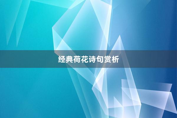 经典荷花诗句赏析