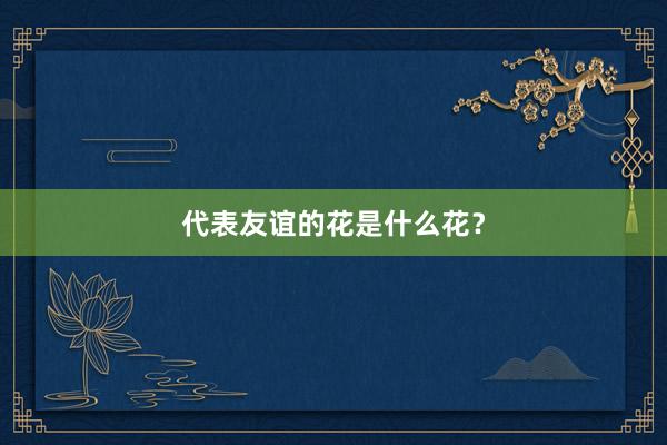 代表友谊的花是什么花？